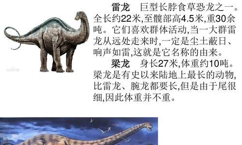恐龙的起源与进化（探索恐龙的演化历程及其成因）-第3张图片-数科之翼