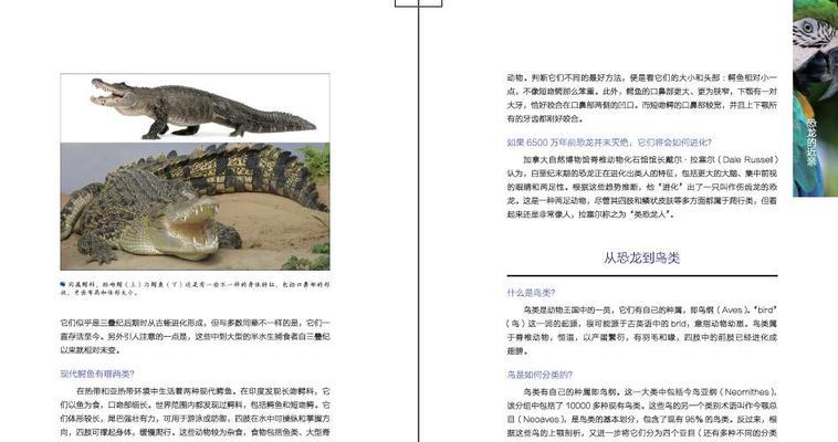 恐龙的起源与进化（探索恐龙的演化历程及其成因）-第2张图片-数科之翼
