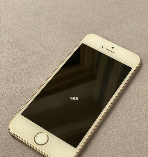 iPhone5s性能如何？（一款仍有魅力的老手机）-第2张图片-数科之翼