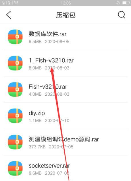 手机绕过解压密码轻松解压文件（解密技巧帮你快速访问加密文件）-第3张图片-数科之翼