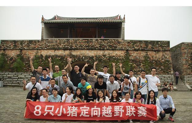 《8只小猪》（这是一部让人难以忘怀的故事，）-第1张图片-数科之翼