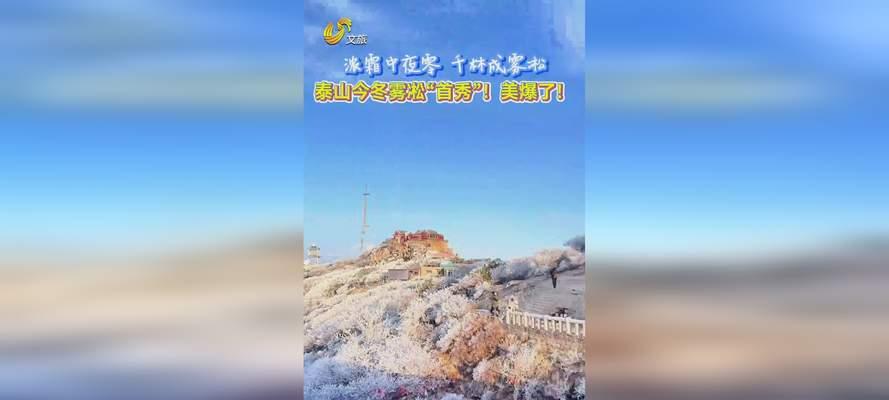 以美爆零卡效果如何？（解析以美爆零卡的特点和优势）-第2张图片-数科之翼